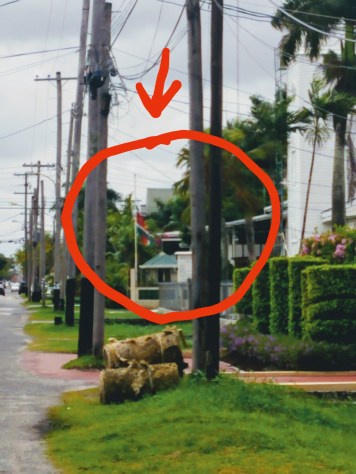 Surinamese Embassy and Flag