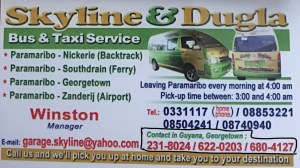 Skyline &amp; Dugla Business Card