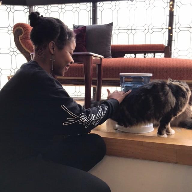 Me at the Liverpool Cat Cafe